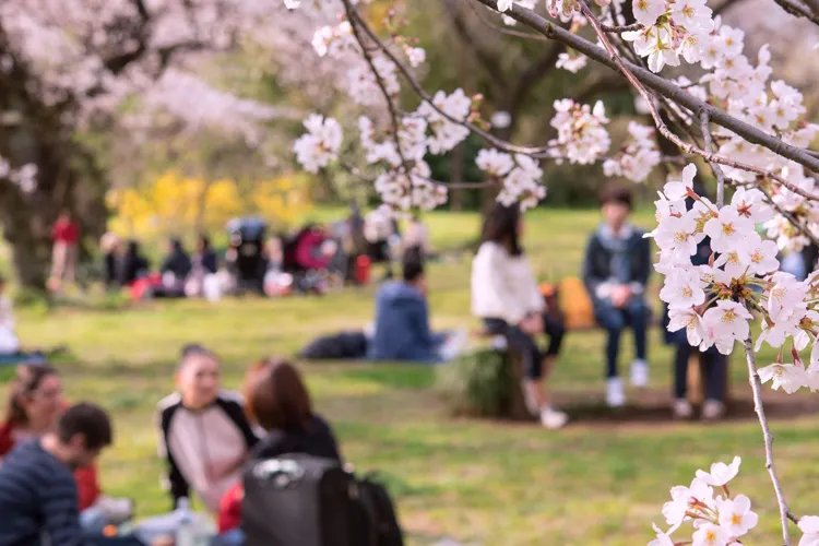 花見をする人々