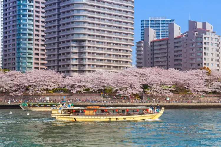 隅田川の屋形船