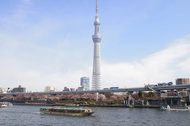 東京スカイツリーと桜と屋形船