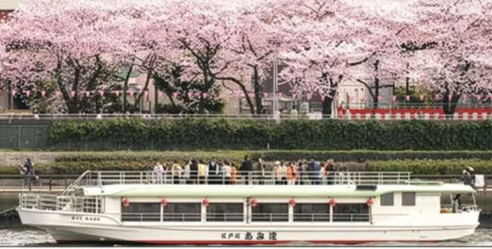 隅田川お花見コース（船宿 あみ達）