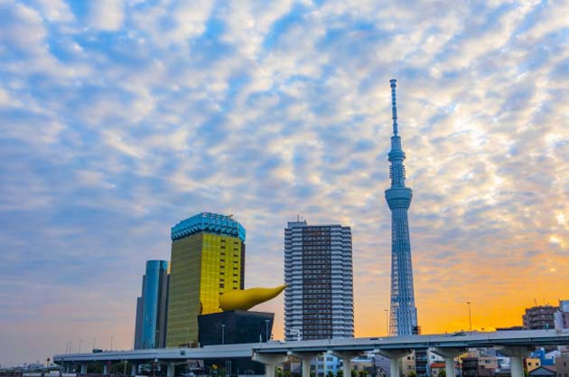 とうきょうスカイツリー駅の屋形船 東京の屋形船予約なら 屋形船の窓口 貸切 乗合プランあり