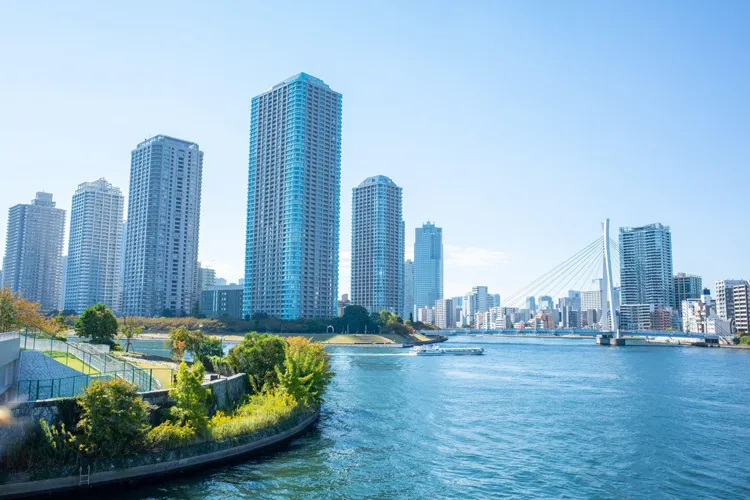 隅田川テラスから見える水辺